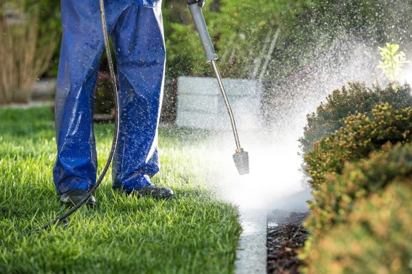 Cost of Curb Cleaning in Sarasota