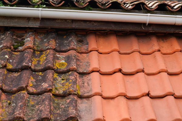 Industrial Roof Cleaning in Sarasota
